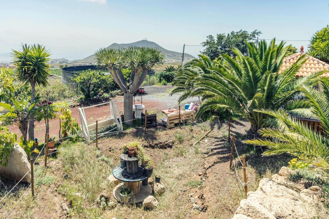 Apartamento B Armonia Rural Granadilla De Abona Eksteriør billede